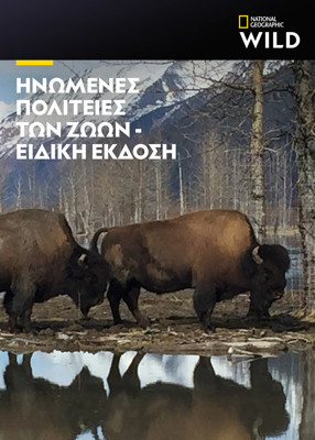 Μεταναστευτική Τρέλα ΕΠ1 - 2026 