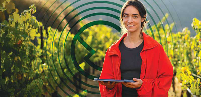 True Value Study 2024