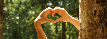 Ηλεκτρονική Τιμολόγηση